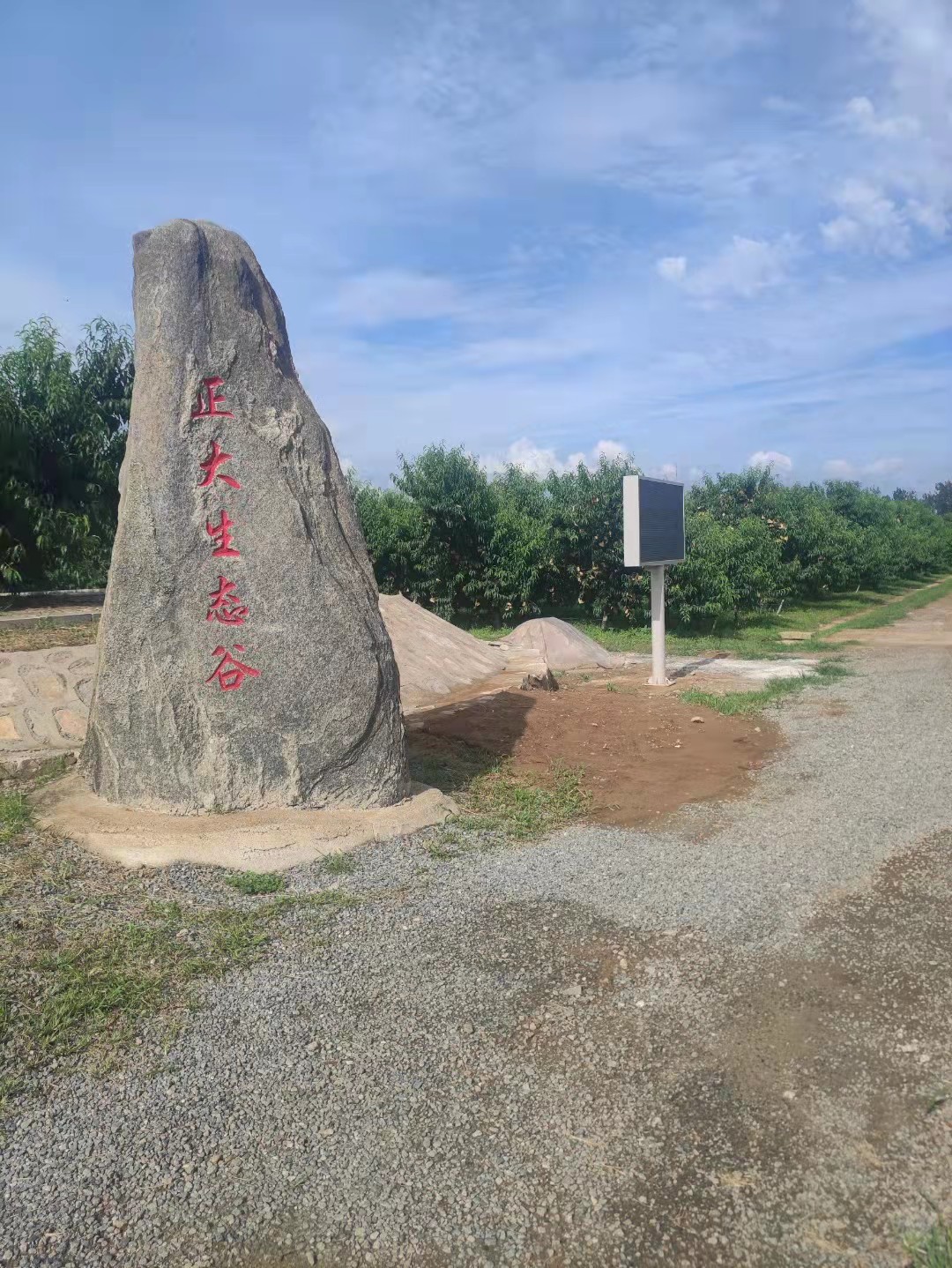 1647221699571755.jpg 1647221699571755.jpg